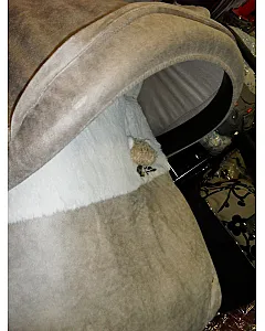 SACO GRUPO CERO PILI CARRERAS