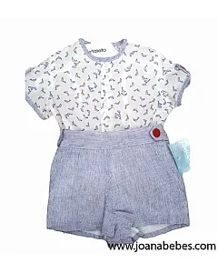 TARTALETA CONJUNTO DELFIN