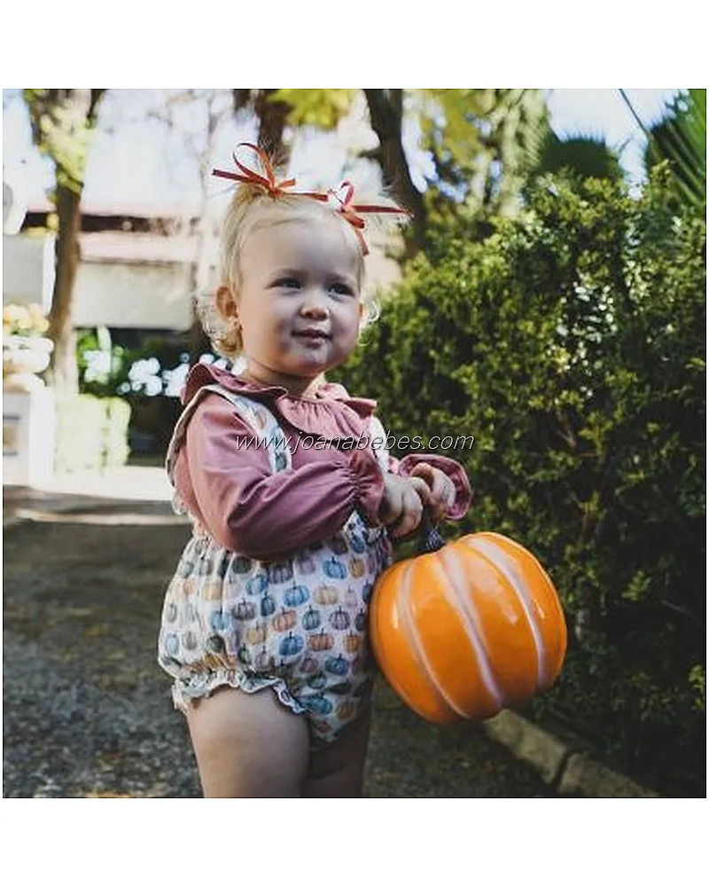 JOSE VARON PELELE CALABAZAS