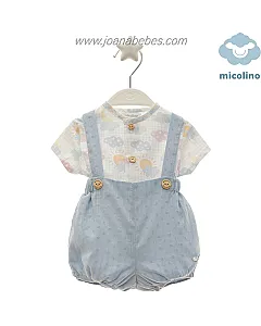 MICOLINO CONJUNTO FAMILIA VERSO