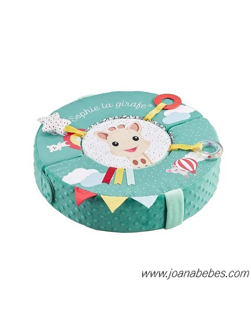 SOPHIE RUEDA DE MOTRICIDAD