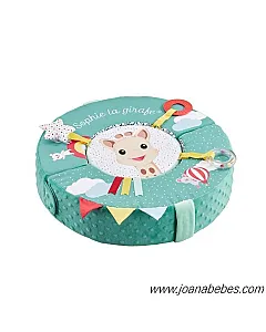 SOPHIE RUEDA DE MOTRICIDAD