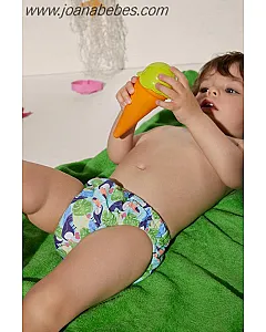 CULETIN ANTIFUGAS TUCANES