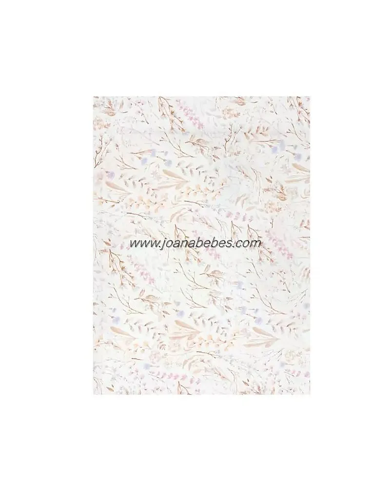 BIMBIDRAMS BAJERA PUNTO COCHE-CAPAZO NIZA