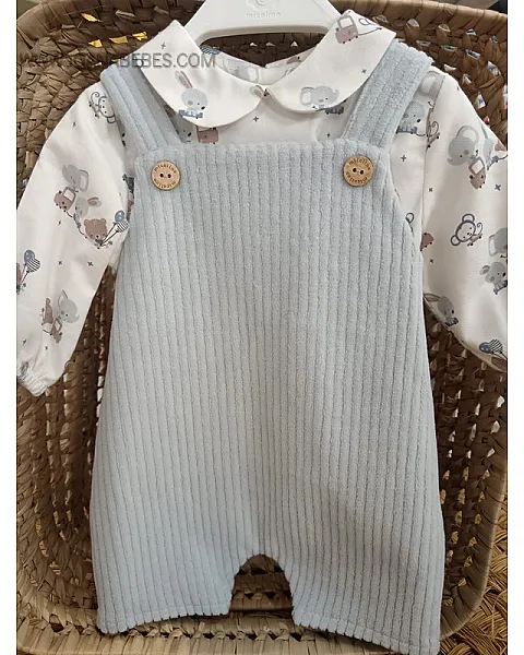 MICOLINO CONJUNTO PETO FAMILIA AURORA