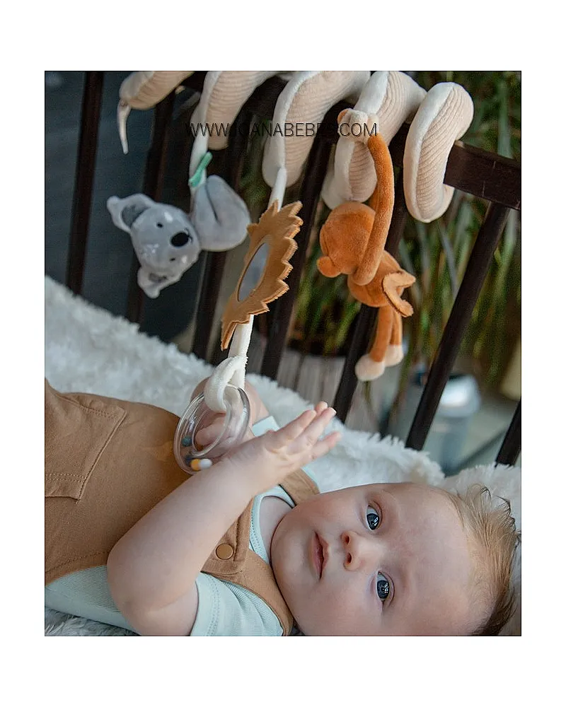 Espiral de actividad en la jungla