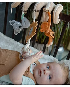 Espiral de actividad en la jungla