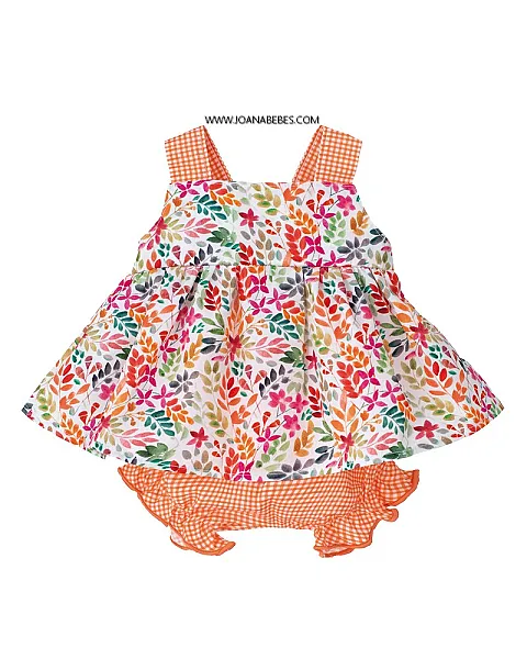 CALAMARO JESUSITO TASMANIA