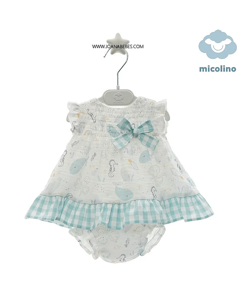 MICOLINO JESUSIN Y BRAGA FAMILIA BRIGITTE