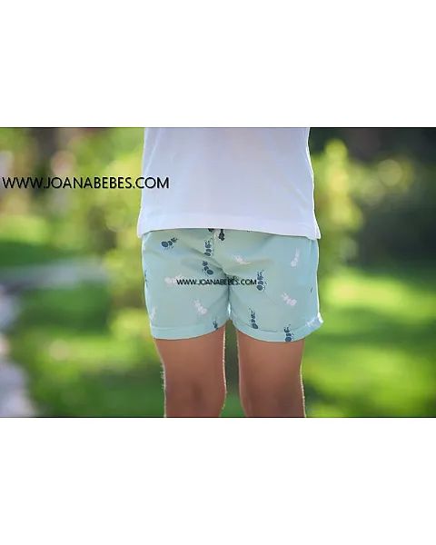 LA ORMIGA BOXER HORMIGAS