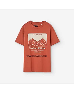 LOSAN CAMISETA BROWN LJBAP0103_25006