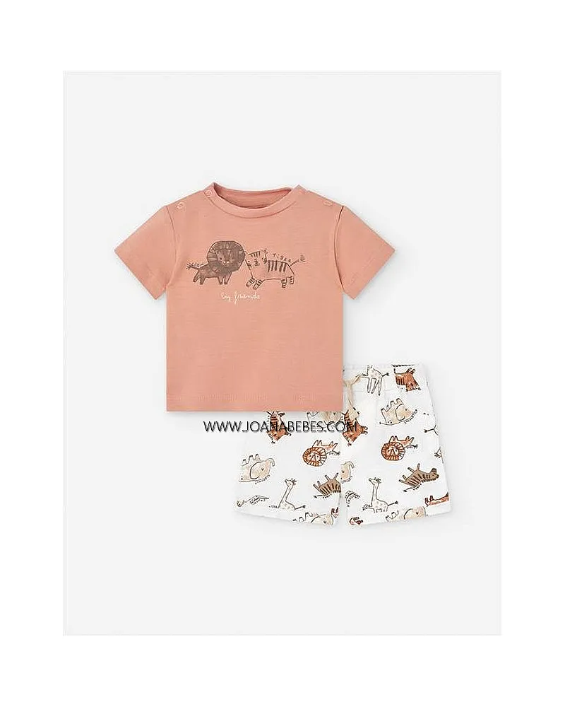 LOSAN CONJUNTO LNBAP0602-25010