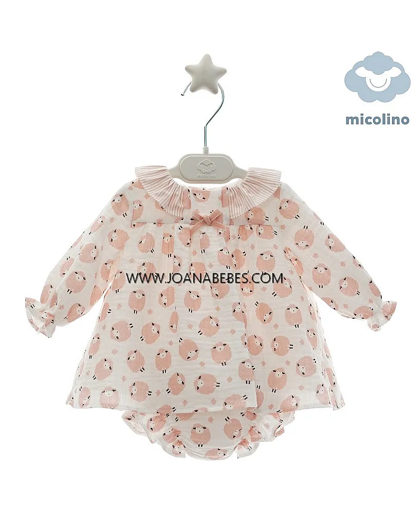 MICOLINO JESUSIN CON BRAGA CONSTANZA