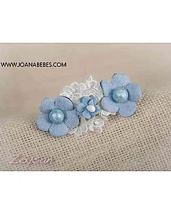 PINZAS CEREMONIA 2 unidades CLESTE