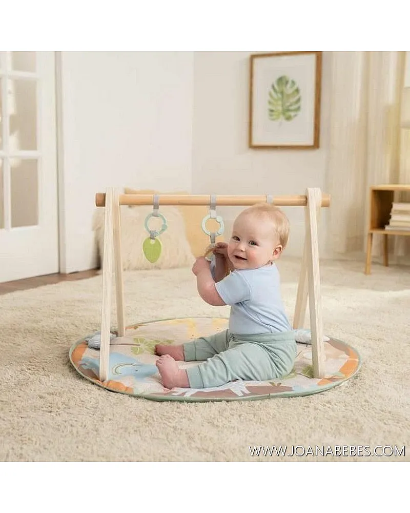 Ingenuity Alfombra de juego plegable WonderWood para bebé, redonda, con arco de madera, espejo y juguetes Ingenuity Alfombra de juego plegable WonderWood para bebé, redonda, con arco de madera, espejo y juguetes